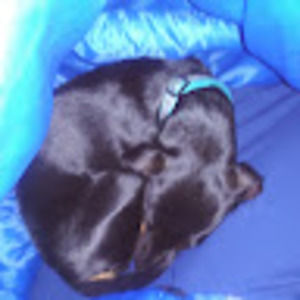 Meet your Posher, Jonnydoe99